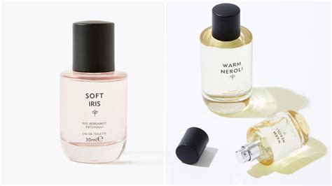 m&s dupes perfume|what m mean.